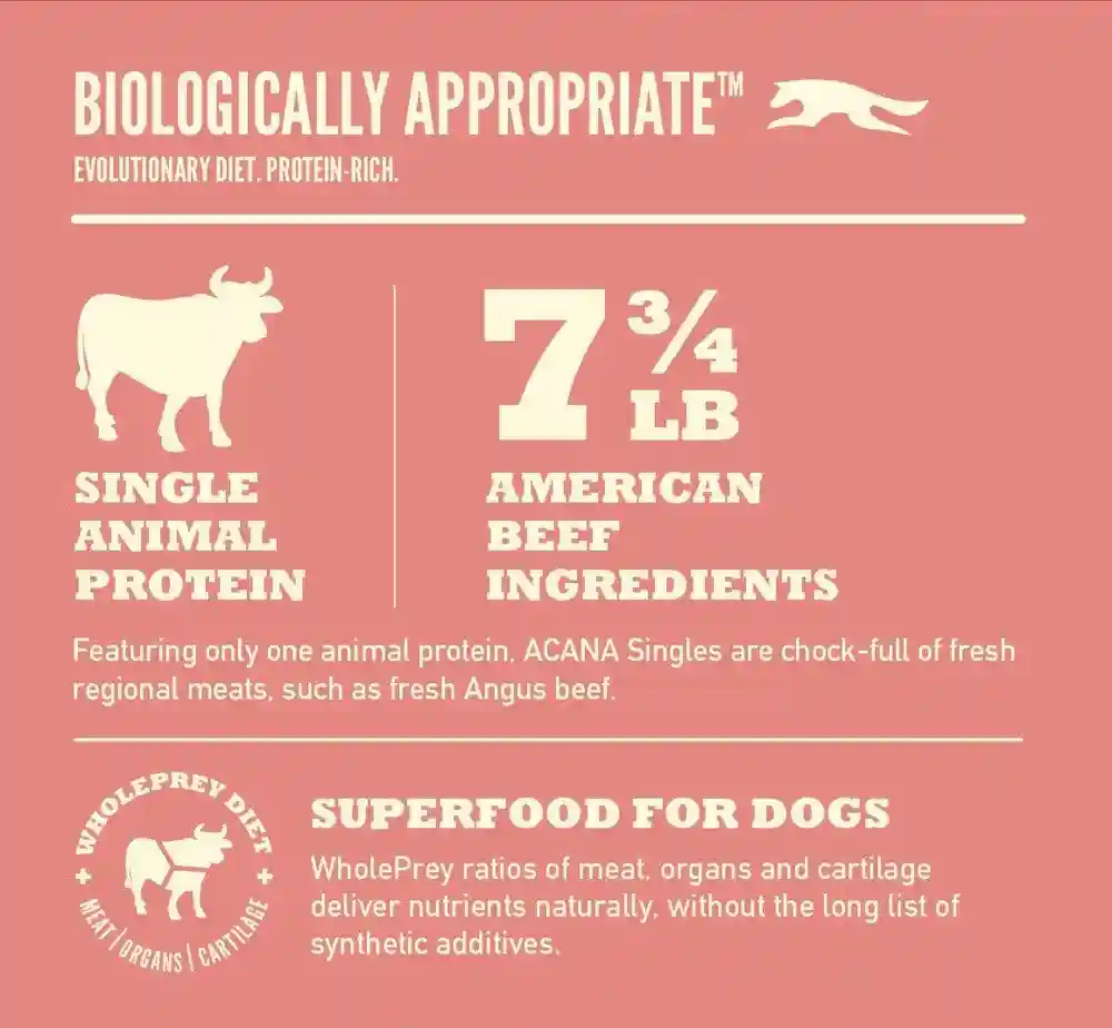 Singles Limited Ingredient Dry Dog Food, Beef & Pumpkin, Biologically Appropriate & Grain Free 13-lb