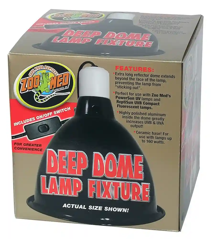 Zoomed Deep Dome Lamp Fixture
