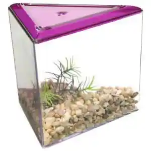 Betta Keeper Triangle Boxed