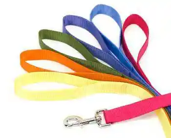 Single-ply Dog Leash, Blue Lagoon, 1" X 06'