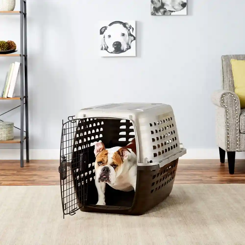 Navigator Plastic Kennel Medium