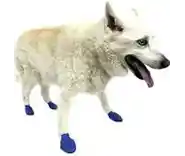 Waterproof Dog Boots, Blue, 12 Count Medium