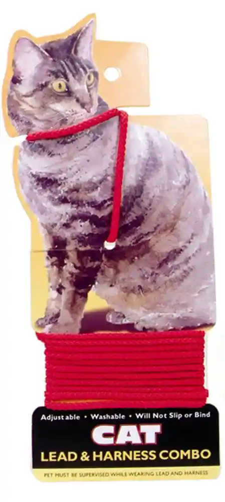 Braided Harness & Lead Cat Red