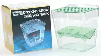 Breed N Show Breeder