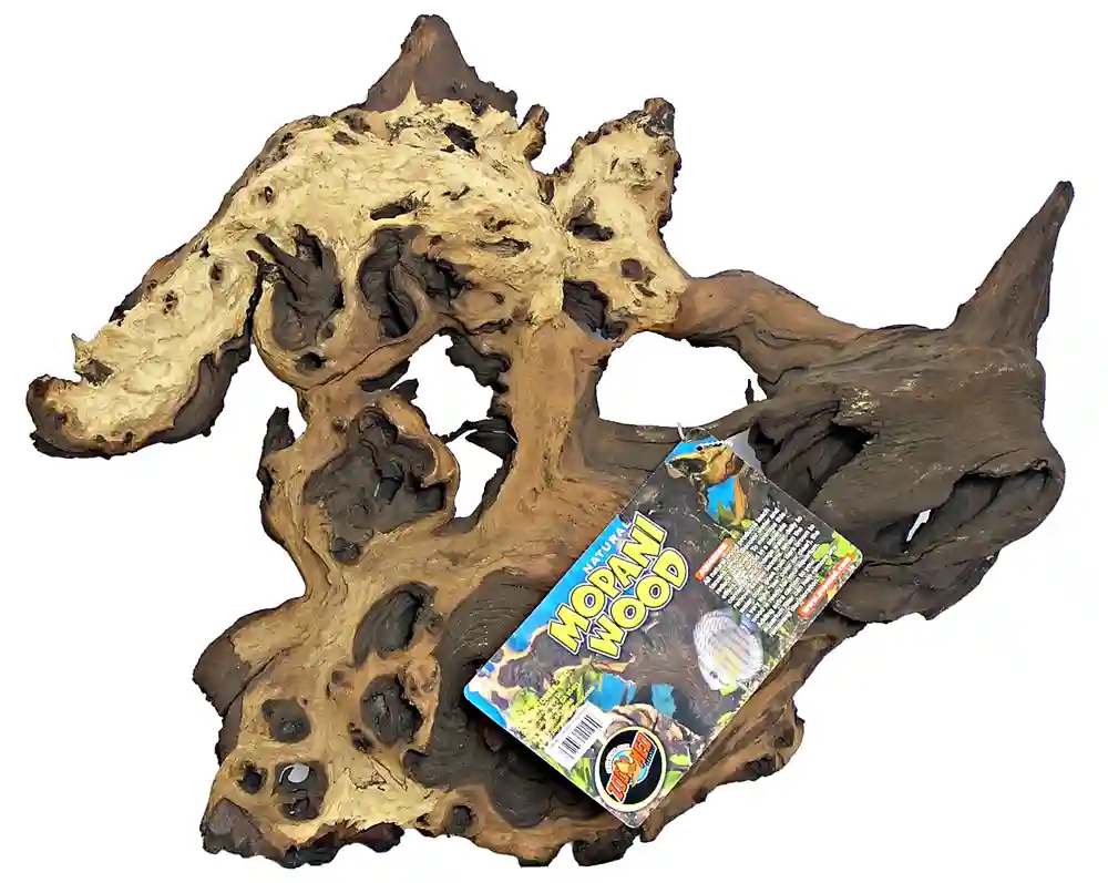 African Mopani Wood X-large 20-24"