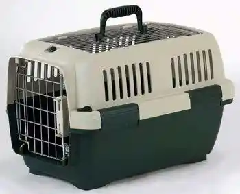 Aran 1 Clipper Pet Carrier 19x13x12" Beige - Green