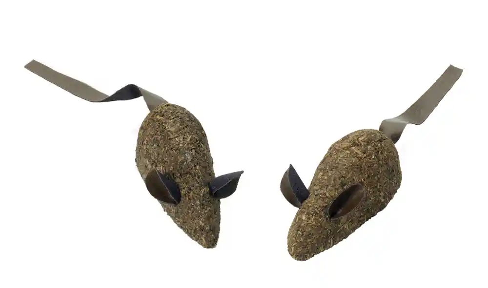 Ethical Catnip Cravers Assorted 2 Pack