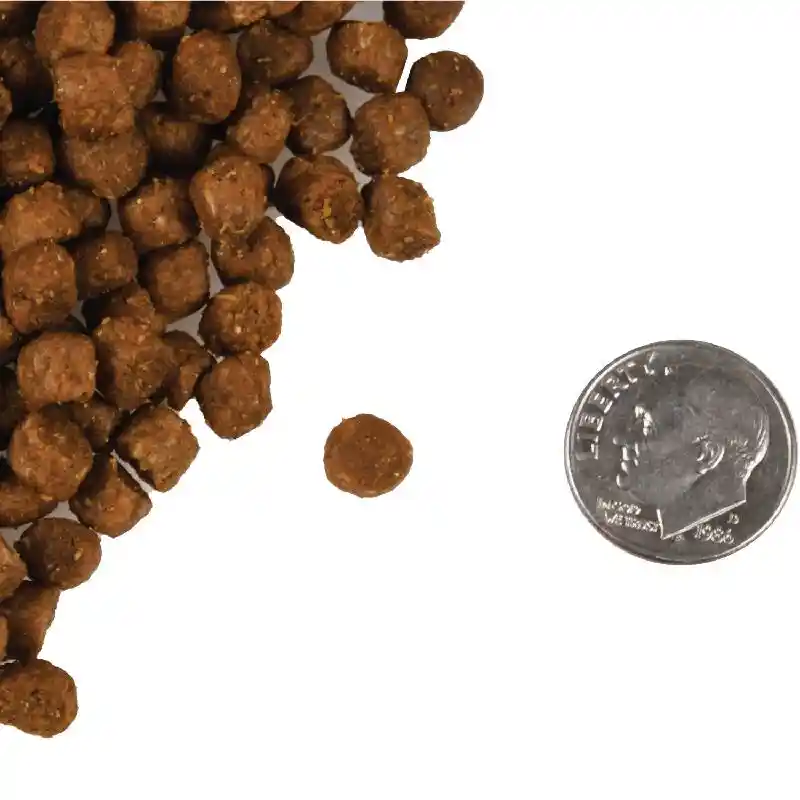 Fromm Four-star Nutritionals Trout & Whitefish Dry Cat Food 10-lb
