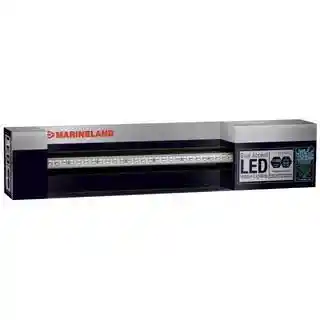 Accent Led System Blu 17"