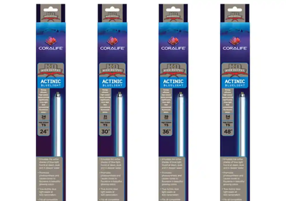 T5 High Output 54 Watt Actinic Lamp 48 Inch