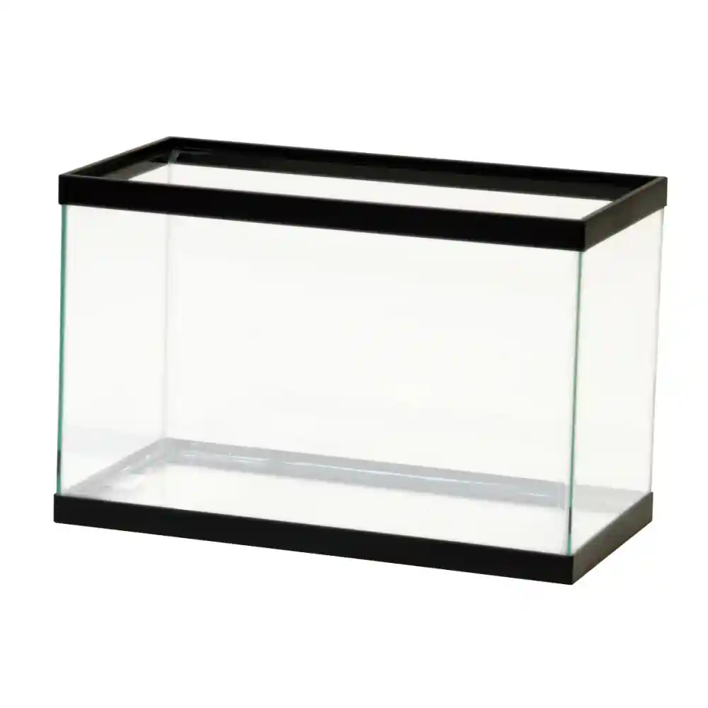Aquarium Black 5.5 Gallon