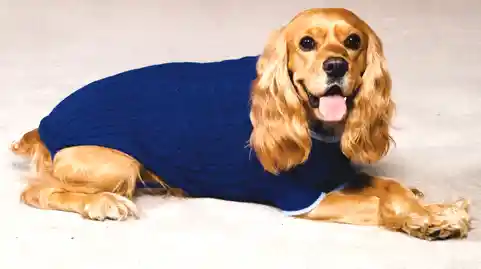 Classic Sweater X-small-blue