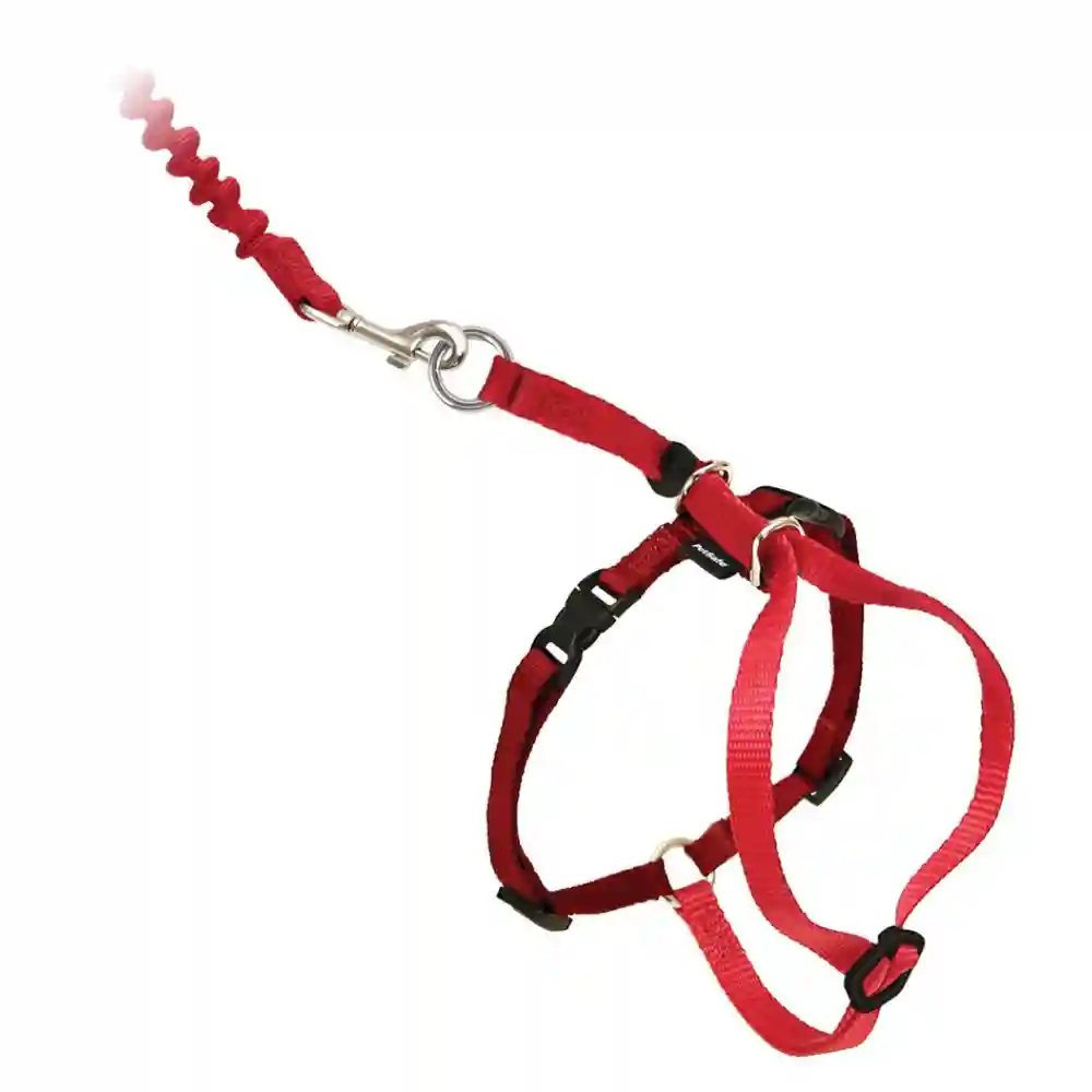 Harness & Bungee Leash Small Red