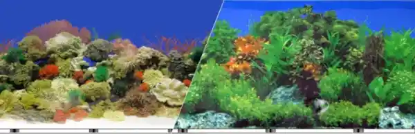 Background Carbon Coral/fresh 24"