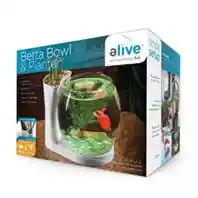 Betta Bowl & Planter While 0.75 Gallon