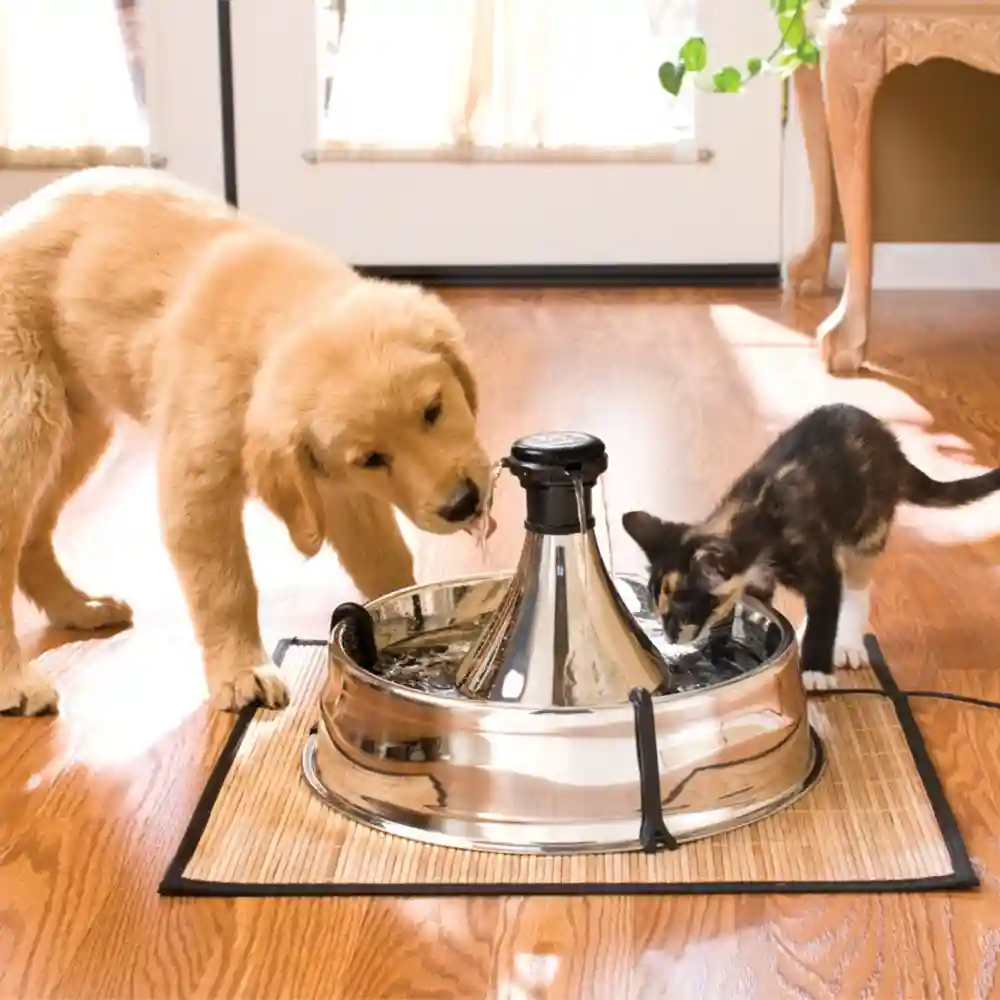 Drinkwell Stainless Multi-pet Fountain 128oz