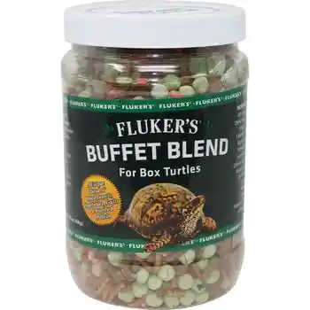 Box Turtle Buffet Blend
