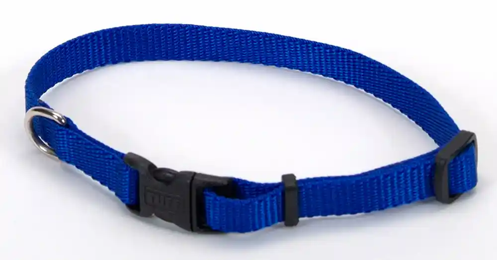 Adjustable Dog Collar With Plastic Buckle, Blue, 3/8" X 8"-12"