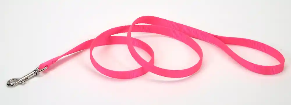 Single-ply Dog Leash, Neon Pink, 1" X 06'