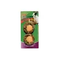 Kaytee Treat Orange Tangerine Yogurt Cup 3.8 Oz
