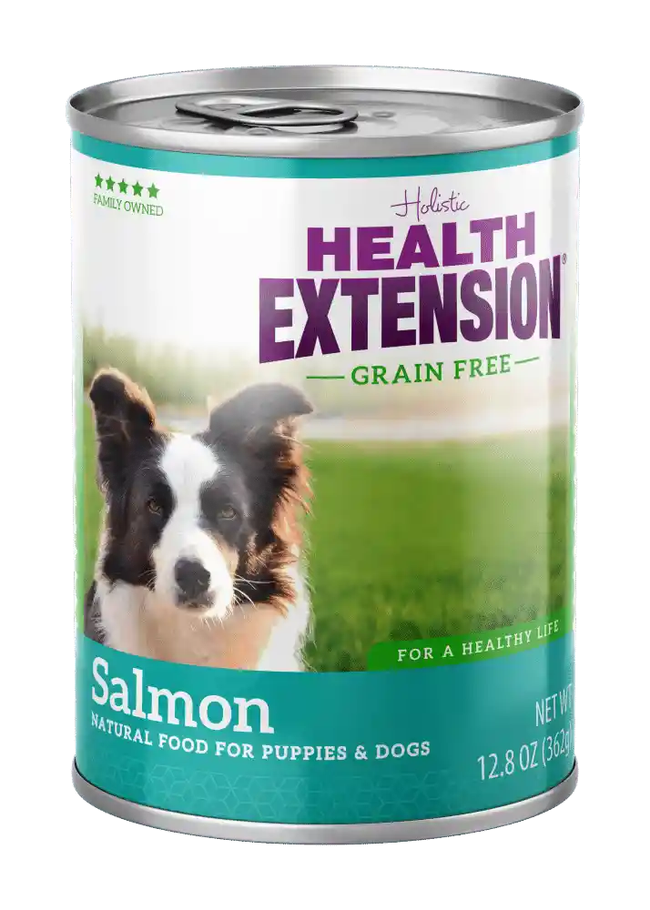 Holistic Grain Free 95% Salmon Canned Dog Food 12-oz
