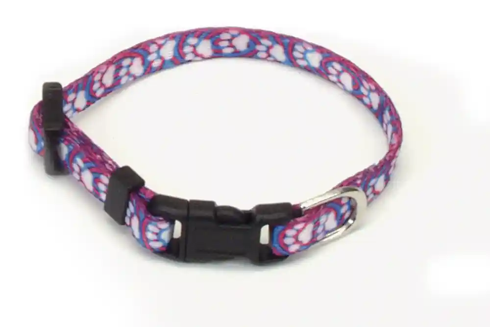 Adjustable Patterned Dog Collar, Light Blue Paw, 3/8" X 08"-12"