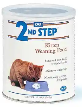 Kitten Wearing Formula 14 Oz