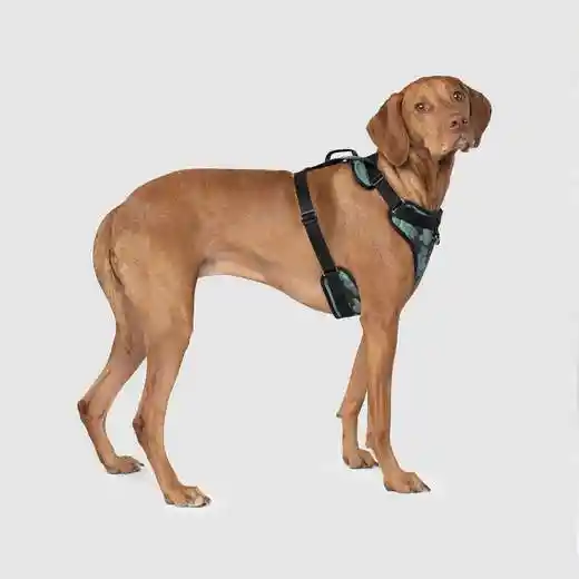 The Everything Harness In Camo Medium