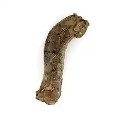 Raw Bar Freeze-dried Duck Neck Treat For Dogs 1 Duck Neck