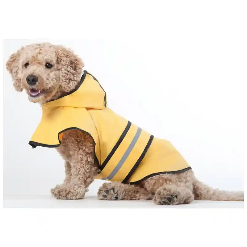 Rainy Days Slicker Yellow Medium