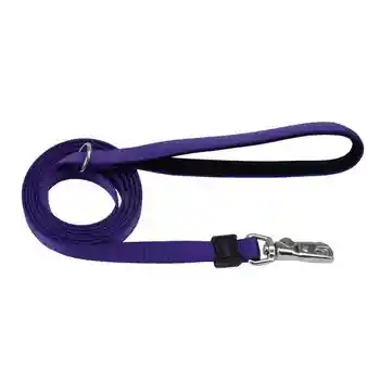 Leash, Purple, 1" X 06'