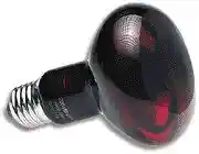 Nocturnal Infrared Heat Lamp 100 Watt Bulb