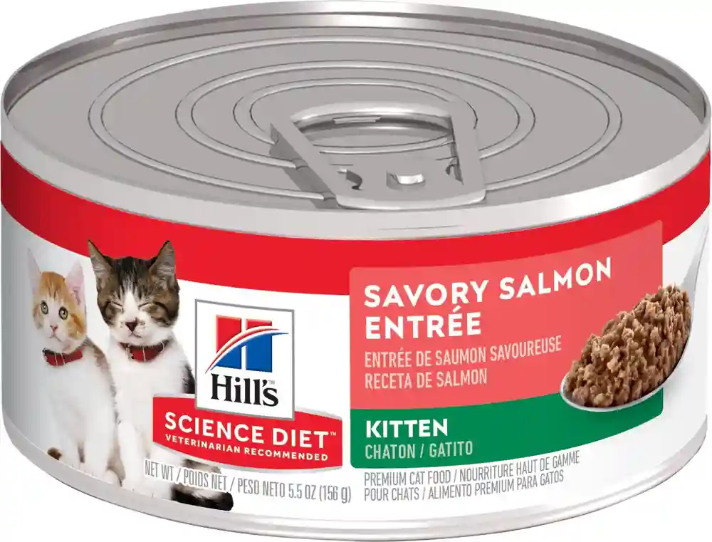 Kitten Savory Salmon Entree Canned Cat Food 5.5-oz