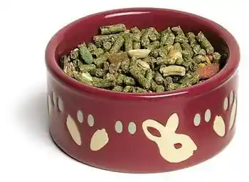 DISC Kaytee Petware Dish Bunny 4.25"
