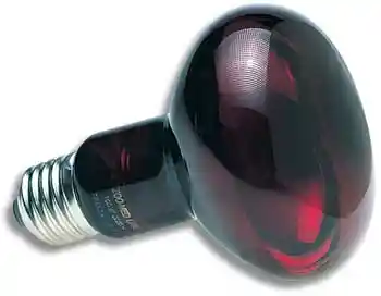 Nocturnal Infrared Heat Lamp 75 Watt Bulb