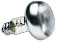 Reptile Bask 25 Watt Incandescent Bulb