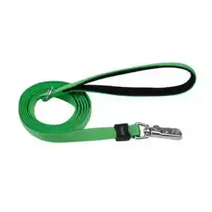 Leash, Green, 1" X 06'