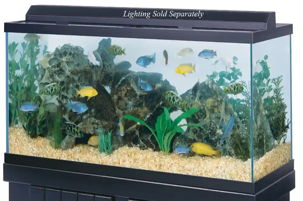 90 Gallon Black Trim Aquarium 48"x18"x24"