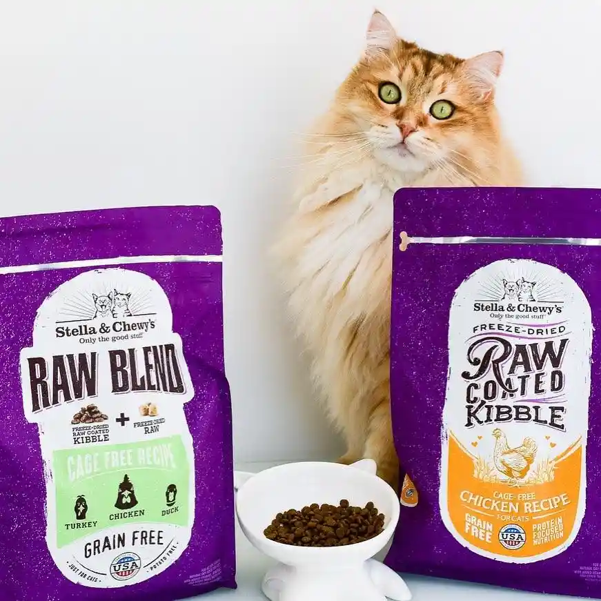Raw Coated Cage Free Chicken Dry Cat Food 2.5-lb