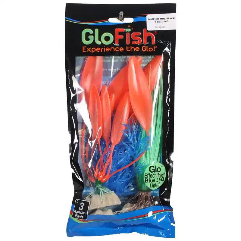 Tet Plnt Glofish Multipk 29282;