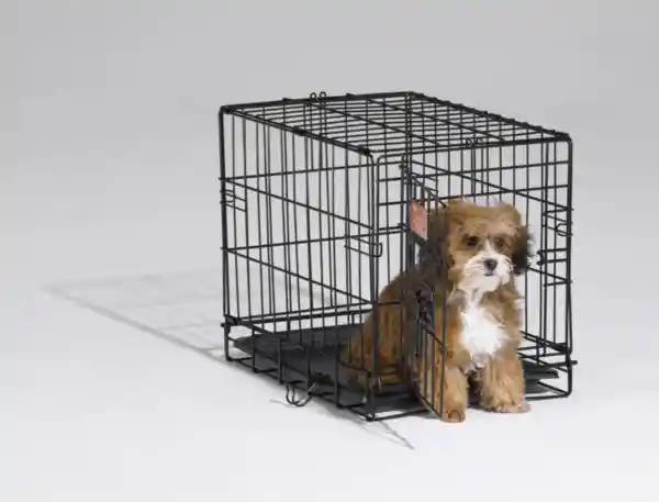 Midwest I Crate Single Door 18"12"x14"