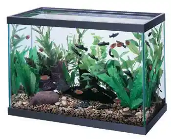 20 Gallon High Black Trim Aquarium 24x12x16"