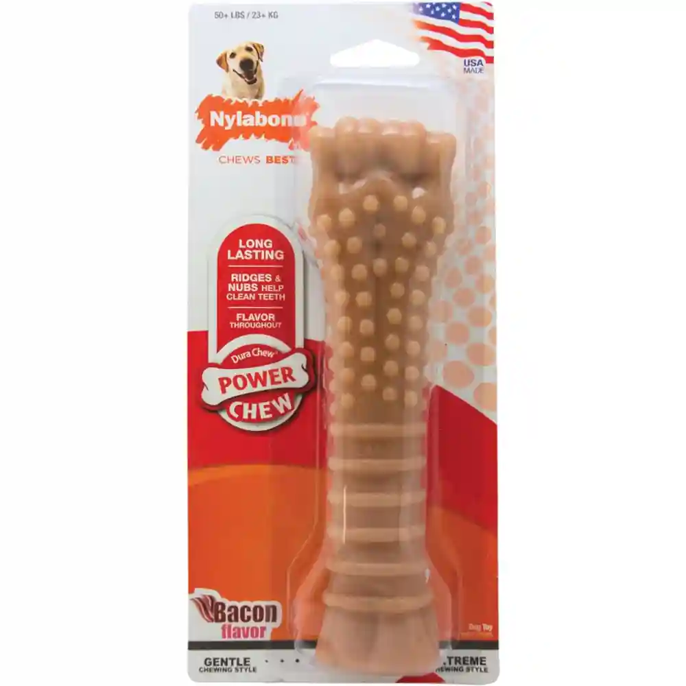Nylabone Durable Bacon Flavored Bone Souper