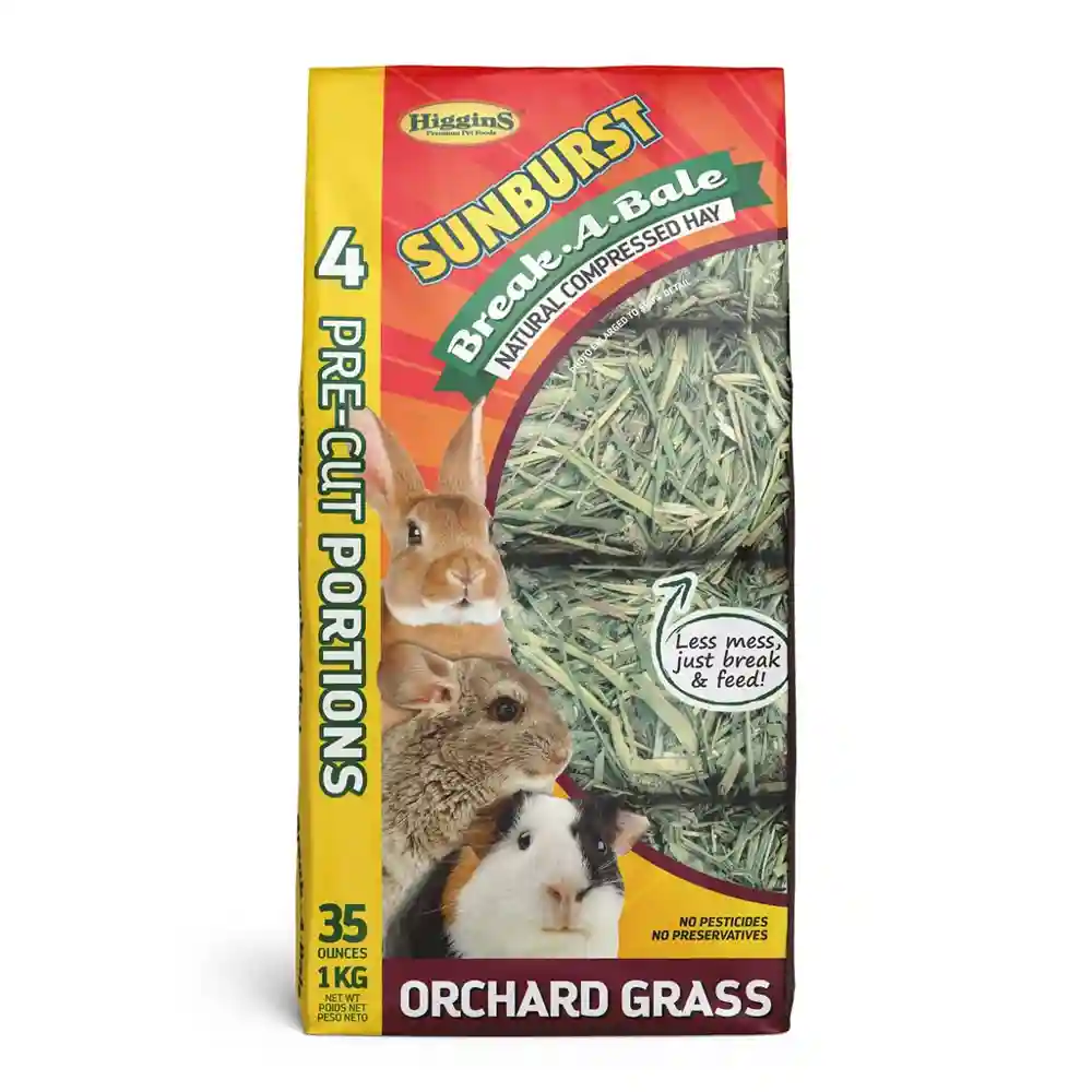 Higg Sunbrst Orchard Grass 35z;