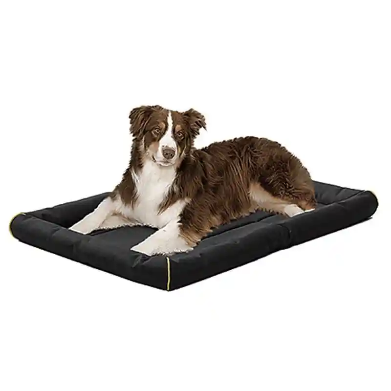 MW Quiet Time Maxx Bed Black 48"