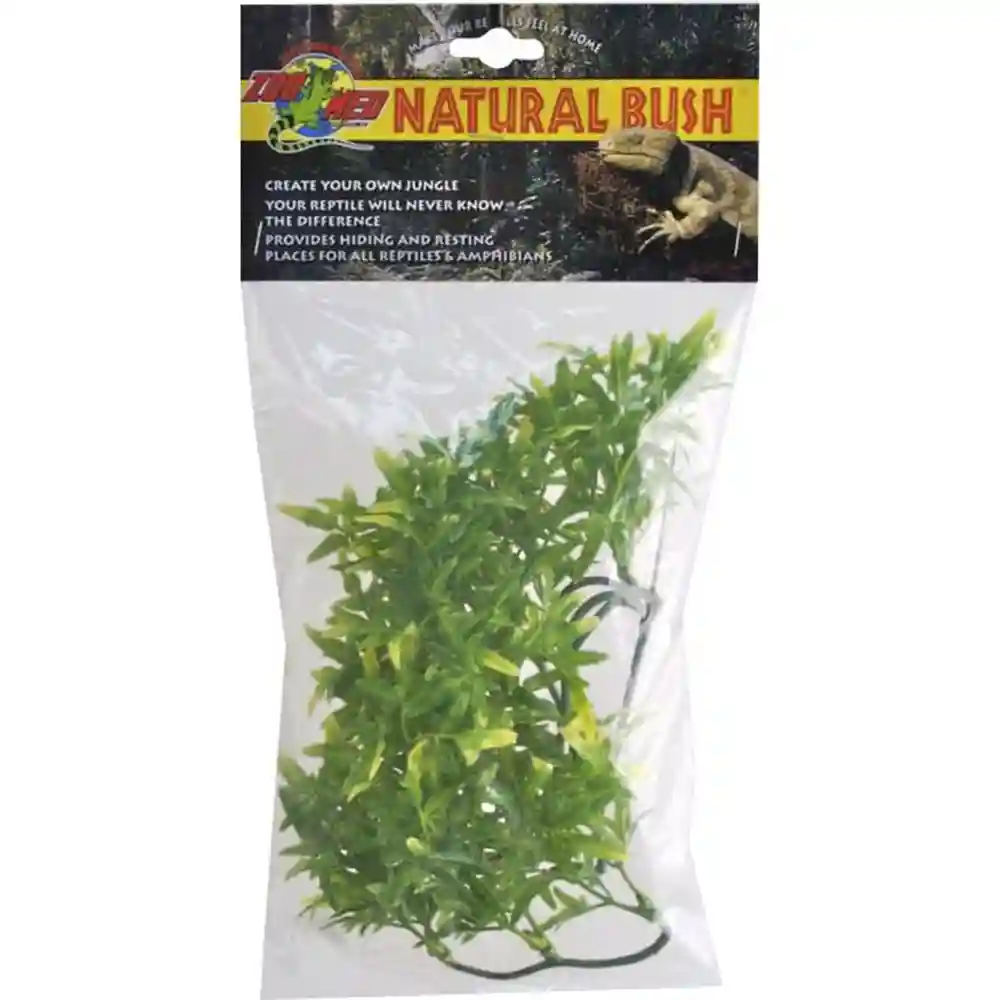Natural Bush Bolivia Croton Large