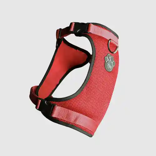 Lg. Everything Harness - Red;