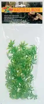 Natural Bush Bolivia Croton Large