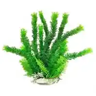 Plant Cabomba Green 12"