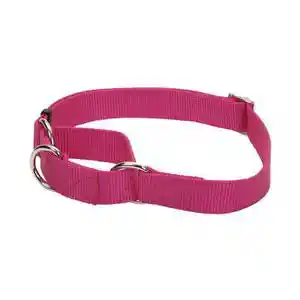 Martingale Adjustable Dog Collar - Pink Flamingo Med 3/4" X 14 20"